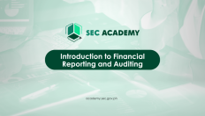 Introduction to Financial Reporting and Auditing